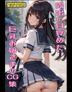 露出に目覚めた巨乳お嬢さまのCG集 モザイク版 [ラビットフット]