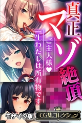 真正マゾ絶頂●● ～ご主人様 一生わたしは所有物です～【CG集コレクション】 モザイク版 [どろっぷす！]