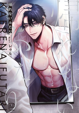 帰れないふたり　【電子単行本 DL特典コミック付き】 [viviON THOTH]