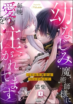 幼なじみ魔術師様に毎晩愛を注がれてます こじれた再会はベッドの上で　（2） [ぶんか社]