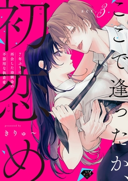 【ラブチーク】ここで逢ったか、初恋め～7年ぶりに再会した幼馴染の不器用な執着愛～ act.3 [ブライト出版]