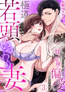 極道若頭のいつわり妻～拾われた花嫁は、甘く危険な偏愛から逃げられない【R版】(3) [DEEPER-ZERO]