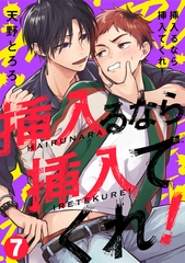 挿入るなら挿入てくれ！(7) [CLLENN]