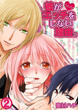 彼がエッチをしない理由。 2 [スクリーモ]