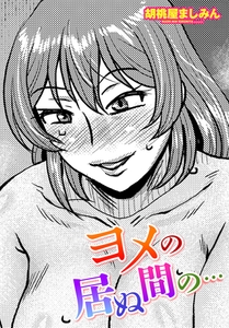 ヨメの居ぬ間の… [辰巳出版]