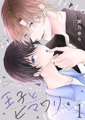 王子とヒマワリ【描き下ろしおまけ付き特装版】 [シーモアコミックス]