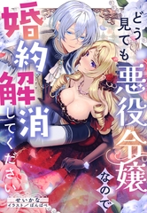どう見ても悪役令嬢なので婚約解消してください [笠倉出版社]