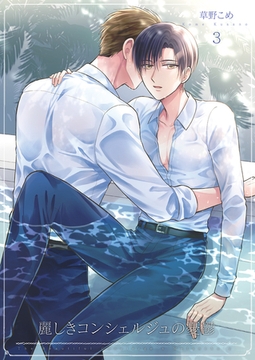 麗しきコンシェルジュの憂鬱3 [光彩書房]