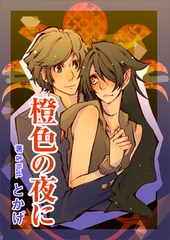 橙色の夜に [いるかネットブックス]