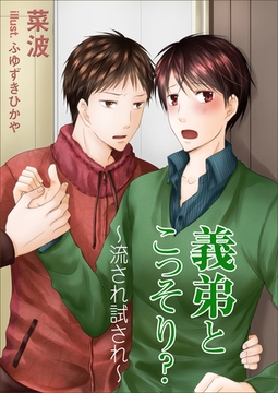 義弟とこっそり？～流され試され～ [いるかネットブックス]