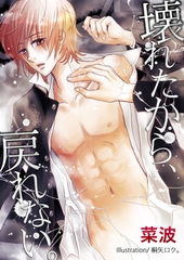 壊れたから、戻れない。 [いるかネットブックス]