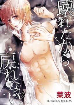 壊れたから、戻れない。 [いるかネットブックス]