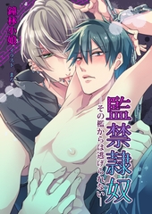 監禁隷奴─その檻からは逃げられない─ [いるかネットブックス]