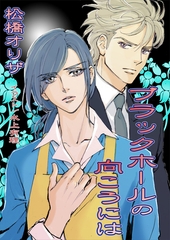 ブラックホールの向こうには [いるかネットブックス]