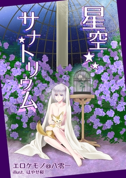 星空サナトリウム [いるかネットブックス]