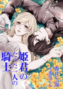 姫君のたった一人の騎士 [いるかネットブックス]