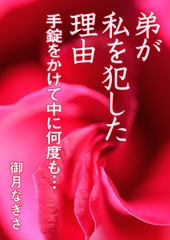 弟が私を犯した理由　手錠をかけて中に何度も… [いるかネットブックス]