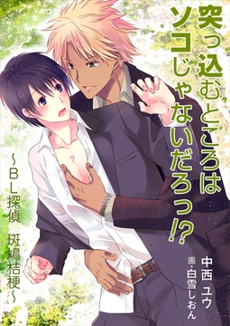 突っ込むところはソコじゃないだろっ！？　～ＢＬ探偵　斑鳩桔梗～ [いるかネットブックス]
