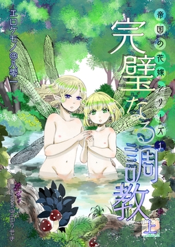 完璧なる調教（上巻） [いるかネットブックス]