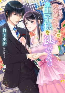 夢見るシンデレラは王子様を逃がさない [いるかネットブックス]