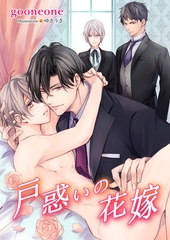 戸惑いの花嫁 [いるかネットブックス]