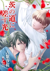 茨の道に差す光（前編） [いるかネットブックス]