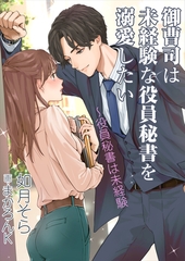 御曹司は未経験な役員秘書を溺愛したい～役員秘書は未経験 [いるかネットブックス]