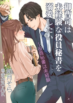 御曹司は未経験な役員秘書を溺愛したい～役員秘書は未経験 [いるかネットブックス]