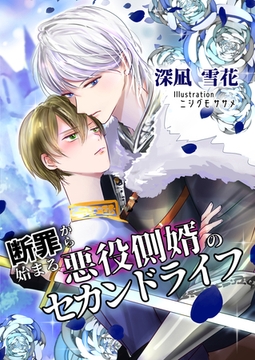 断罪から始まる悪役側婿のセカンドライフ [いるかネットブックス]