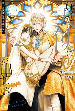 買った天使に手が出せない [アルファポリス]