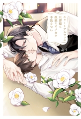 エリートアルファの旦那様は孤独なオメガを手放さない [アルファポリス]