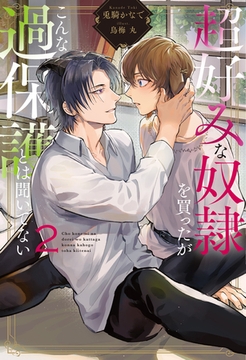 超好みな奴○を買ったがこんな過保護とは聞いてない２ [アルファポリス]