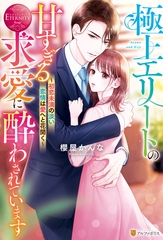 極上エリートの甘すぎる求愛に酔わされています　～初恋未満の淡い恋情は愛へと花開く～ [アルファポリス]