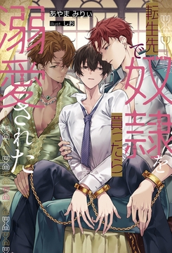 転生先で奴○を買ったら溺愛された [アルファポリス]