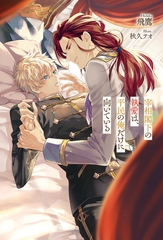 宰相閣下の執愛は、平民の俺だけに向いている [アルファポリス]