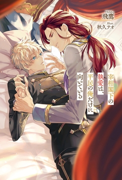 宰相閣下の執愛は、平民の俺だけに向いている [アルファポリス]