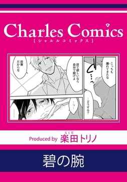 碧の腕 [メディアソフト]