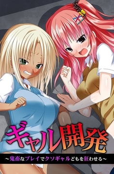 ギャル開発～鬼畜なプレイでクソギャルどもを狂わせる～ [デジタルコミック流通ネットワーク]