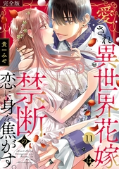 愛され異世界花嫁は、禁断の恋に身を焦がす。【完全版】(11) [CLLENN]