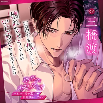 【ハイスぺ夫の征服焦らしプレイ】理想的な夫婦の夜の顔《出演：三橋渡》 [Cranberry]