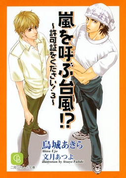 嵐を呼ぶ台風！？ [二見書房]