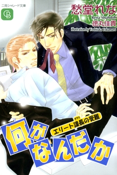 何がなんだか　～エリート課長の受難～ [二見書房]