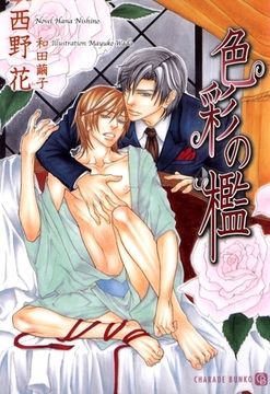 色彩の檻 [二見書房]