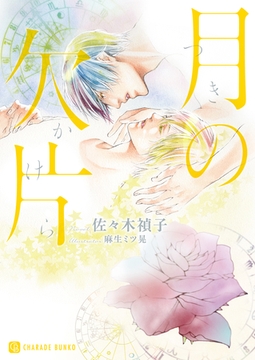 月の欠片 [二見書房]