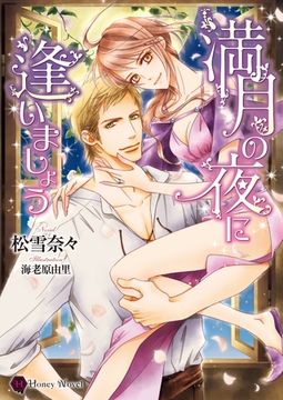 満月の夜に逢いましょう [二見書房]