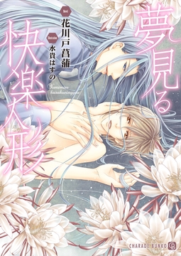 夢見る快楽人形【特別版】 [二見書房]