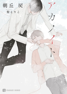 アカノイト【特別版】 [二見書房]