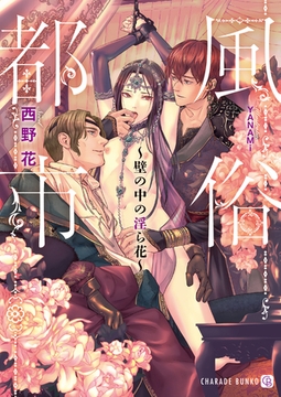 風俗都市～壁の中の淫ら花～【特別版】 [二見書房]