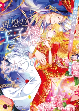 理想の王子様とはちょっと違うの～砂漠の恋の一期一会～ [二見書房]