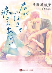 君がいなきゃ涙さえ出ない【特別版】 [二見書房]